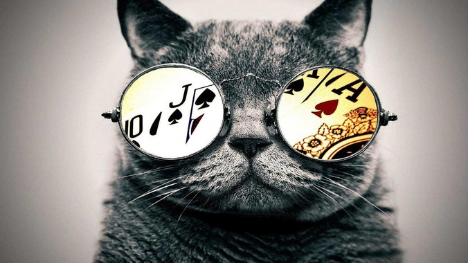 如何评价 Vue.js 纪录片？